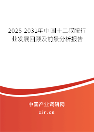 2025-2031年中國十二叔胺行業(yè)發(fā)展回顧及前景分析報告 2025-2031年中國十二叔胺行業(yè)發(fā)展回顧及前景分析報告