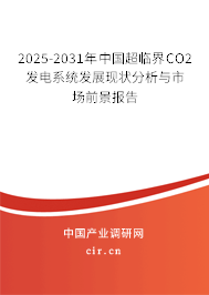 2025-2031年中國超臨界CO2發(fā)電系統(tǒng)發(fā)展現(xiàn)狀分析與市場前景報(bào)告