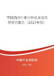 中國酒店行業(yè)分析及發(fā)展前景研究報告(2013年版) 中國酒店行業(yè)分析及發(fā)展前景研究報告(2013年版)