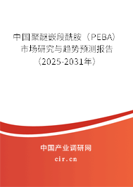 中國聚醚嵌段酰胺（PEBA）市場研究與趨勢預(yù)測報告（2025-2031年）