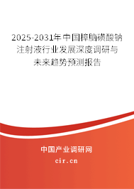 2025-2031年中國(guó)樟腦磺酸鈉注射液行業(yè)發(fā)展深度調(diào)研與未來(lái)趨勢(shì)預(yù)測(cè)報(bào)告 2025-2031年中國(guó)樟腦磺酸鈉注射液行業(yè)發(fā)展深度調(diào)研與未來(lái)趨勢(shì)預(yù)測(cè)報(bào)告