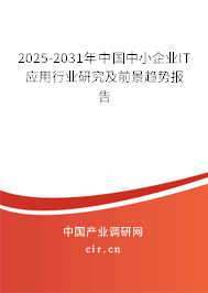 2025-2031年中國中小企業(yè)IT應(yīng)用行業(yè)研究及前景趨勢報(bào)告