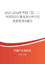2025-2031年中國(氯)-二甲基硅烷行業(yè)發(fā)展分析與前景趨勢預測報告 2025-2031年中國(氯)-二甲基硅烷行業(yè)發(fā)展分析與前景趨勢預測報告