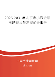 2025-2031年北京市小微金融市場現(xiàn)狀與發(fā)展前景報告