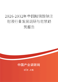 2026-2032年中國玻璃酸鈉注射液行業(yè)發(fā)展調研與前景趨勢報告
