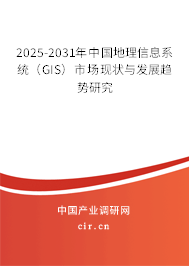 2025-2031年中國地理信息系統(tǒng)（GIS）市場現(xiàn)狀與發(fā)展趨勢研究