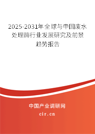 2025-2031年全球與中國廢水處理酶行業(yè)發(fā)展研究及前景趨勢報告 2025-2031年全球與中國廢水處理酶行業(yè)發(fā)展研究及前景趨勢報告