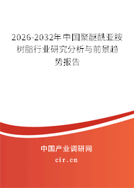 2026-2032年中國聚醚酰亞胺樹脂行業(yè)研究分析與前景趨勢報(bào)告