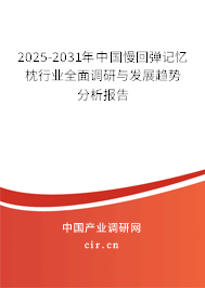 2025-2031年中國慢回彈記憶枕行業(yè)全面調(diào)研與發(fā)展趨勢分析報告