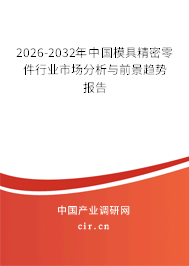 2026-2032年中國模具精密零件行業(yè)市場分析與前景趨勢報告 2026-2032年中國模具精密零件行業(yè)市場分析與前景趨勢報告