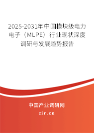 2025-2031年中國模塊級電力電子（MLPE）行業(yè)現(xiàn)狀深度調(diào)研與發(fā)展趨勢報告