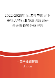 2022-2028年全球與中國足下垂植入物行業(yè)發(fā)展深度調(diào)研與未來趨勢分析報告