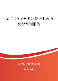 2012-2016年溜冰鞋行業(yè)市場分析預測報告
