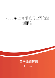 2009年上海鋼鐵行業(yè)評估監(jiān)測報告