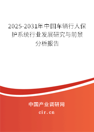 2025-2031年中國車輛行人保護系統(tǒng)行業(yè)發(fā)展研究與前景分析報告