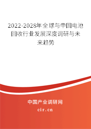 2022-2028年全球與中國電池回收行業(yè)發(fā)展深度調(diào)研與未來趨勢