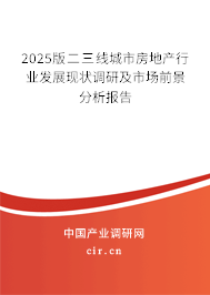 2025版二三線城市房地產(chǎn)行業(yè)發(fā)展現(xiàn)狀調(diào)研及市場前景分析報(bào)告