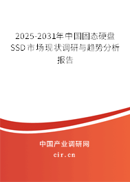 2025-2031年中國(guó)固態(tài)硬盤(pán)SSD市場(chǎng)現(xiàn)狀調(diào)研與趨勢(shì)分析報(bào)告