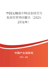 中國光觸媒市場調(diào)查研究與發(fā)展前景預(yù)測報告（2025-2031年）