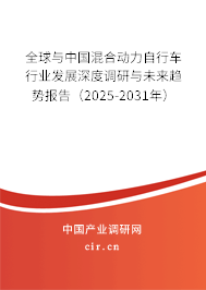 全球與中國混合動力自行車行業(yè)發(fā)展深度調(diào)研與未來趨勢報告（2025-2031年）