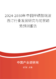 2024-2030年中國(guó)甲磺酸瑞波西汀行業(yè)發(fā)展研究與前景趨勢(shì)預(yù)測(cè)報(bào)告