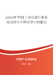 2025年中國上海動漫行業(yè)發(fā)展調(diào)研與市場前景分析報告