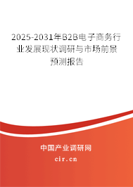 2025-2031年B2B電子商務(wù)行業(yè)發(fā)展現(xiàn)狀調(diào)研與市場前景預(yù)測報告 2025-2031年B2B電子商務(wù)行業(yè)發(fā)展現(xiàn)狀調(diào)研與市場前景預(yù)測報告