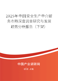 2025年中國安全生產(chǎn)中介服務(wù)市場深度調(diào)查研究與發(fā)展趨勢分析報告（下架）