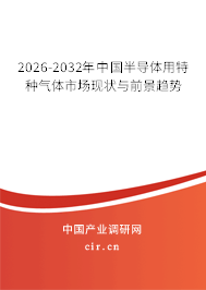 2026-2032年中國半導(dǎo)體用特種氣體市場現(xiàn)狀與前景趨勢