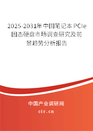 2025-2031年中國(guó)筆記本PCIe固態(tài)硬盤市場(chǎng)調(diào)查研究及前景趨勢(shì)分析報(bào)告