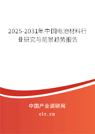 2025-2031年中國電池材料行業(yè)研究與前景趨勢報(bào)告