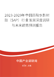 2023-2029年中國高吸水性樹脂（SAP）行業(yè)發(fā)展深度調(diào)研與未來趨勢(shì)預(yù)測(cè)報(bào)告