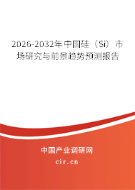 2026-2032年中國硅（Si）市場研究與前景趨勢預測報告