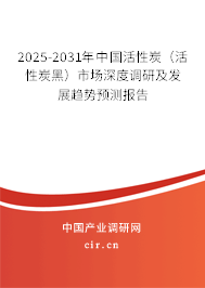 2025-2031年中國(guó)活性炭（活性炭黑）市場(chǎng)深度調(diào)研及發(fā)展趨勢(shì)預(yù)測(cè)報(bào)告