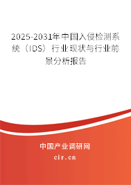 2025-2031年中國(guó)入侵檢測(cè)系統(tǒng)（IDS）行業(yè)現(xiàn)狀與行業(yè)前景分析報(bào)告