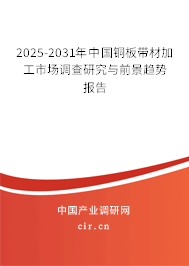 2025-2031年中國(guó)銅板帶材加工市場(chǎng)調(diào)查研究與前景趨勢(shì)報(bào)告