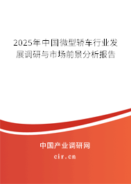 2025年中國微型轎車行業(yè)發(fā)展調(diào)研與市場前景分析報(bào)告 2025年中國微型轎車行業(yè)發(fā)展調(diào)研與市場前景分析報(bào)告