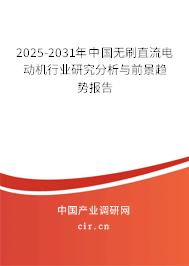 2025-2031年中國無刷直流電動機行業(yè)研究分析與前景趨勢報告