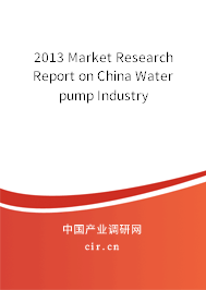 2013 Market Research Report on China Water pump Industry