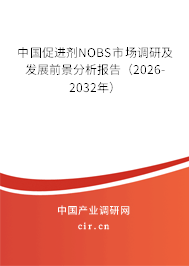 中國促進劑NOBS市場調研及發(fā)展前景分析報告（2026-2032年）