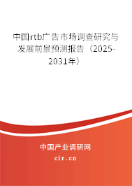 中國rtb廣告市場調(diào)查研究與發(fā)展前景預測報告（2025-2031年）