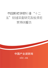 中國顆粒鉀肥行業(yè)“十二五”規(guī)劃深度研究及投資前景預(yù)測報告
