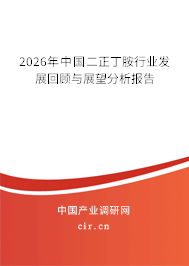 2026年中國二正丁胺行業(yè)發(fā)展回顧與展望分析報告