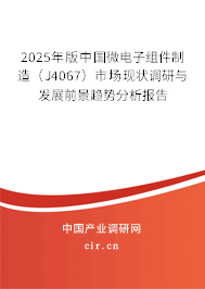 2025年版中國(guó)微電子組件制造（J4067）市場(chǎng)現(xiàn)狀調(diào)研與發(fā)展前景趨勢(shì)分析報(bào)告