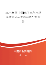 2025年版中國電子電氣市場現(xiàn)狀調(diào)研與發(fā)展前景分析報(bào)告