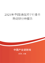 2025年中國(guó)通益風(fēng)寧行業(yè)市場(chǎng)調(diào)研分析報(bào)告
