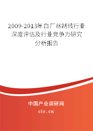2009-2013年白廠絲制線行業(yè)深度評估及行業(yè)競爭力研究分析報告 2009-2013年白廠絲制線行業(yè)深度評估及行業(yè)競爭力研究分析報告