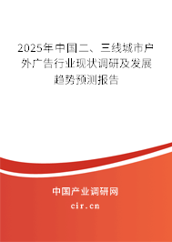 2025年中國二、三線城市戶外廣告行業(yè)現(xiàn)狀調(diào)研及發(fā)展趨勢預(yù)測報告