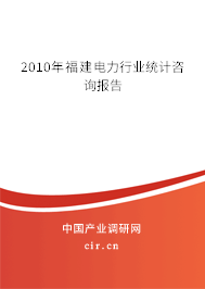 2010年福建電力行業(yè)統(tǒng)計咨詢報告