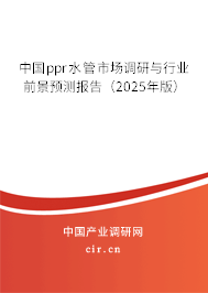 中國ppr水管市場調(diào)研與行業(yè)前景預(yù)測報告（2025年版）